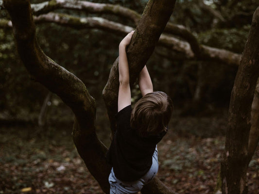What Are Monkey Bars: Exploring Their Benefits and Uses