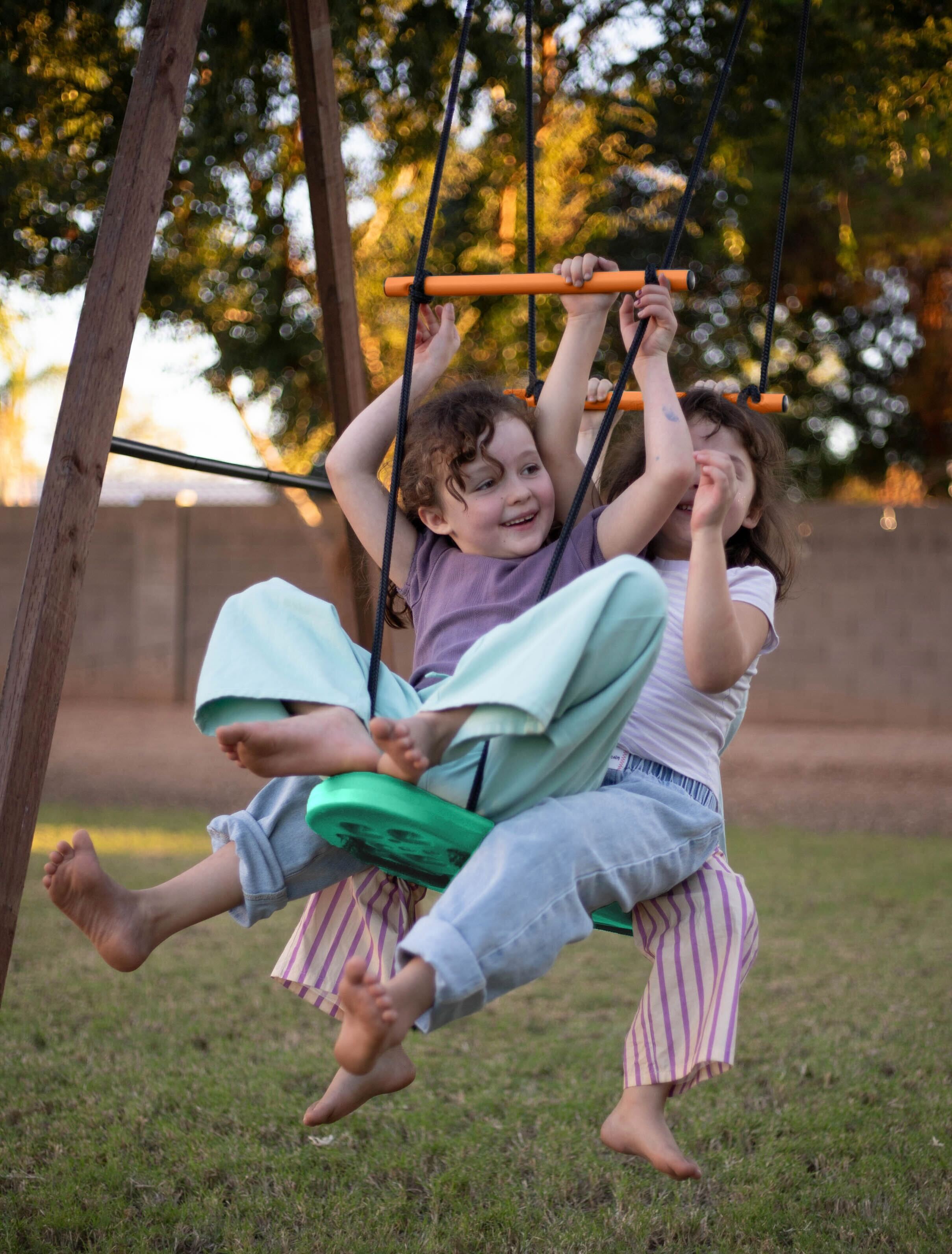 Adventure Skate Board Swing