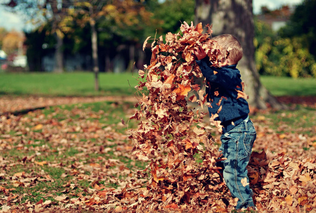 Backyard Playsets for Toddlers: Essential Safety and Fun Features