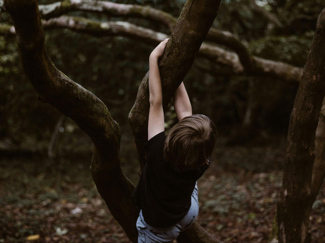 What Are Monkey Bars: Exploring Their Benefits and Uses