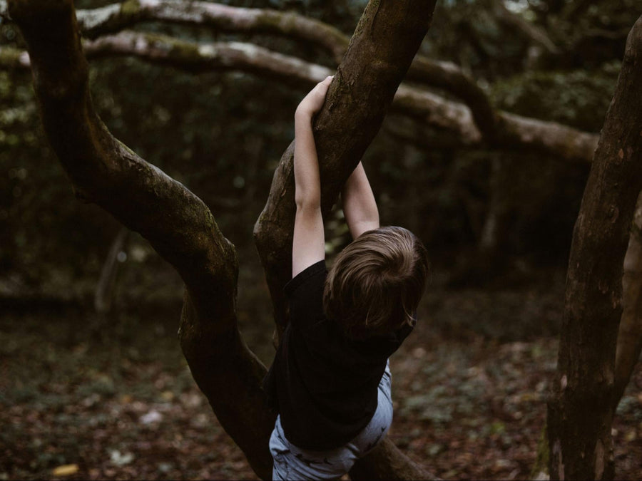 What Are Monkey Bars: Exploring Their Benefits and Uses