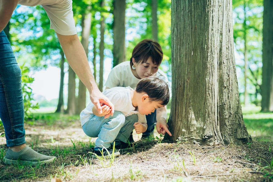 Bijou Build: 5 Nature-Inspired Books Shaping Play and Creativity
