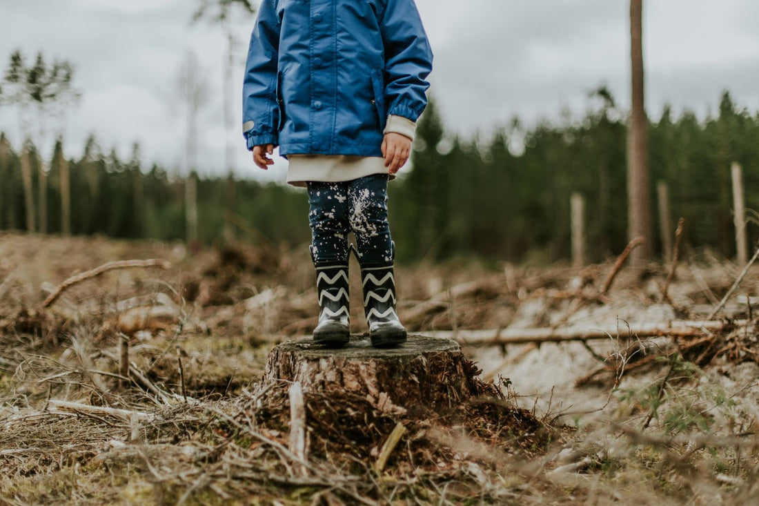 Mini Playgrounds: Boosting Community Engagement and Child Development