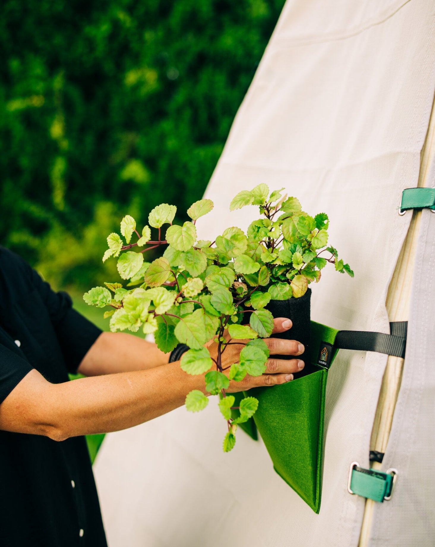 Bijou Bloom Hanging Planters