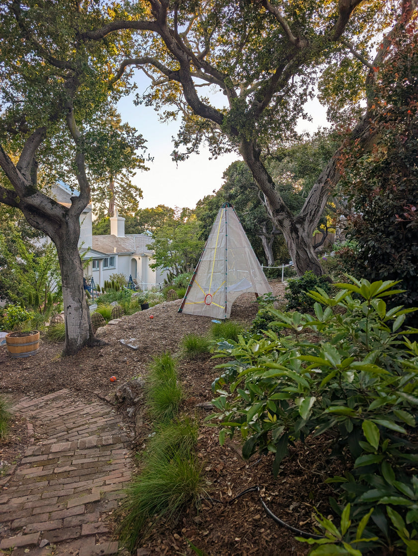 Small/urban yard owner